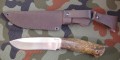 scytPGK2.JPG