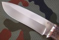 scytPGK3.JPG