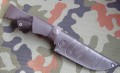 scytVG10_9.JPG