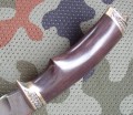 scyt_dmst_cz6.JPG