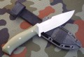 jegieroliwa9.JPG