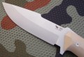jegierkhaki3.JPG