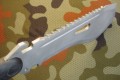 saperelastron6.JPG
