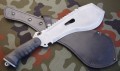 saperelastron8.JPG