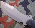 woronelastron3.JPG