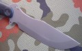 woronelastron4.JPG