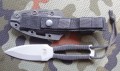 lis7ABS2.JPG