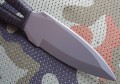 lis7ABS4.JPG