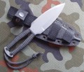 lis7ABS6.JPG