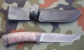 maral_dmst_stab1.JPG