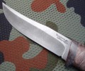 maral_dmst_stab3.JPG