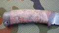 maral_dmst_stab5.JPG