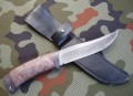 maral_dmst_stab9.JPG