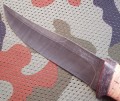 maral_dmst_kora3.JPG