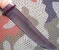 maral_dmst_kora4.JPG