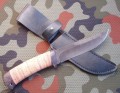 maral_dmst_kora7.JPG