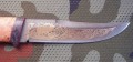 maral_dmst_stab_pozl4.JPG