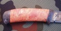 maral_dmst_stab_pozl5.JPG