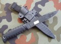 taran_cz8.JPG
