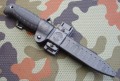 taran_cz9.JPG