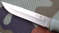 RFoliwa3.JPG