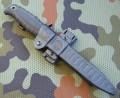 taran9.JPG