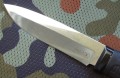 amur3.JPG