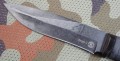 amur2cz3.JPG