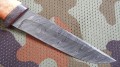 piknik_dmst_stab_red4.JPG