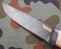 rif_dmst_kora_pozl3.JPG