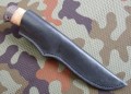rif_dmst_kora_pozl9.JPG