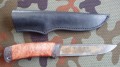 piknic_dmst_stab_red_pozl1.JPG