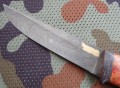 piknic_dmst_stab_red_pozl3.JPG