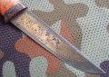 piknic_dmst_stab_red_pozl5.JPG