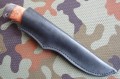piknic_dmst_stab_red_pozl8.JPG