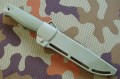 otus_oliwa_cz9.JPG