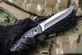 EnzoAUS8_8.jpg