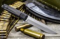 DeltaAUS-8tw1.jpg