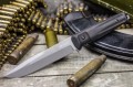 DeltaAUS-8tw2.jpg