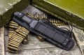 DeltaAUS-8tw5.jpg