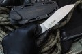 SavageD2_8.jpg