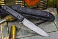 AlphaD2_TW3.jpg