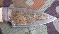 utios_dmst_kora_pozl4.JPG