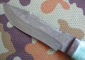 tajga_dmst_stab_pozl3.JPG