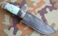 tajga_dmst_stab_pozl10.JPG