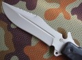 armiejski65x13elastr3.JPG