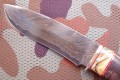 scyt_lam_stab_mamut_kosiczka3.JPG