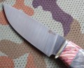 sokolS390stab_mamut3.JPG