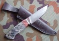 sokolS390stab_mamut10.JPG