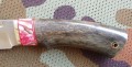 putnikS390stab_mamut_kosiczka6.JPG